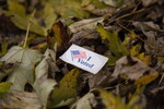 i voted sticker in leaves