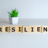 resilience.jpg