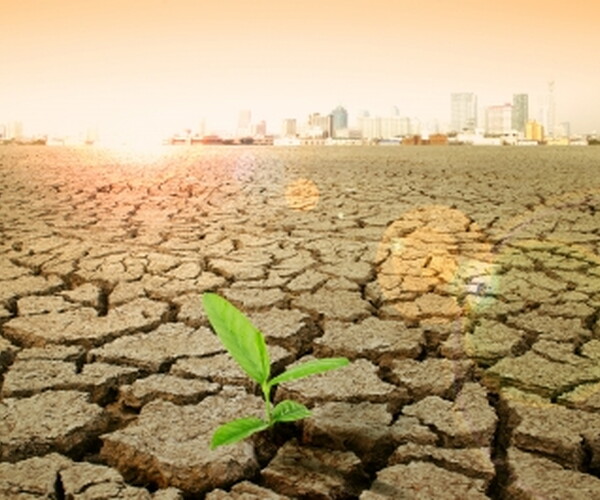 Santam: Crop Insurance and Climate Change