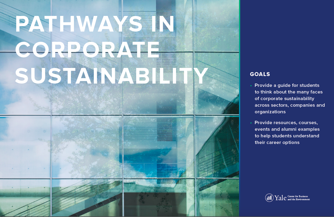 Pathways in corporate Sustainability cover