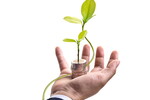 Financial Resources for Social and Environmental Entrepreneurs