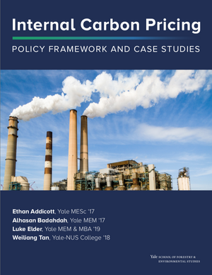 Internal Carbon Pricing Case Study Cover
