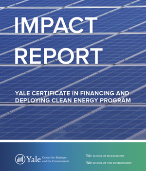 FDCE Impact Report cover