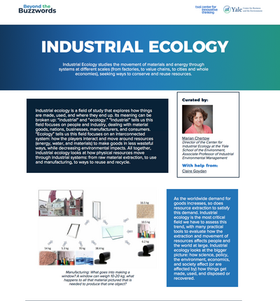 Industrial Ecology Screenshot