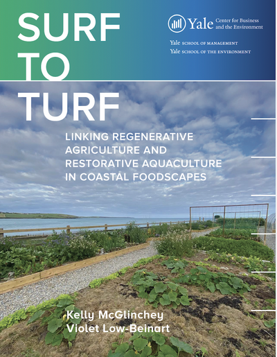 Surf to Turf report cover image