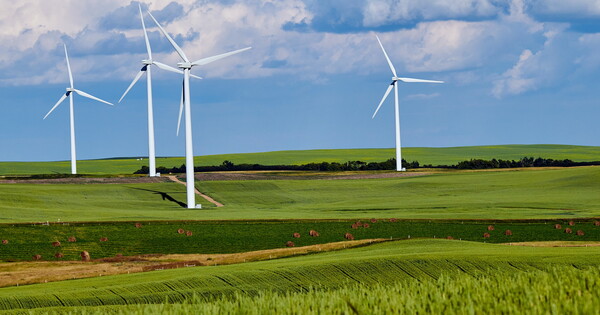 Wind farm!