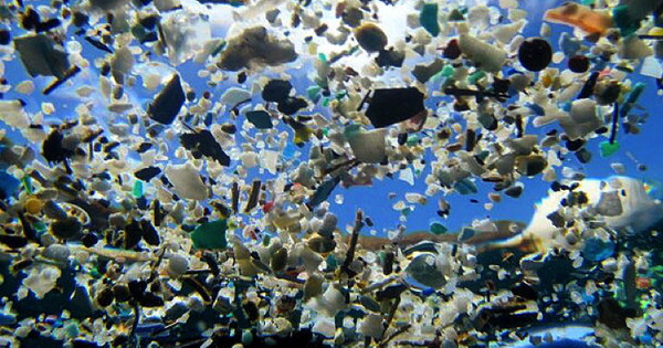 The Plastic Problem | Yale Center for Business and the Environment