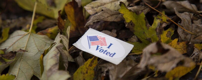 i voted sticker in leaves