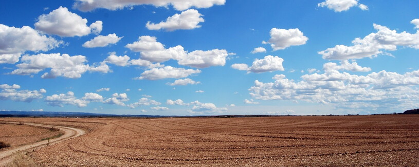 A barren landscape
