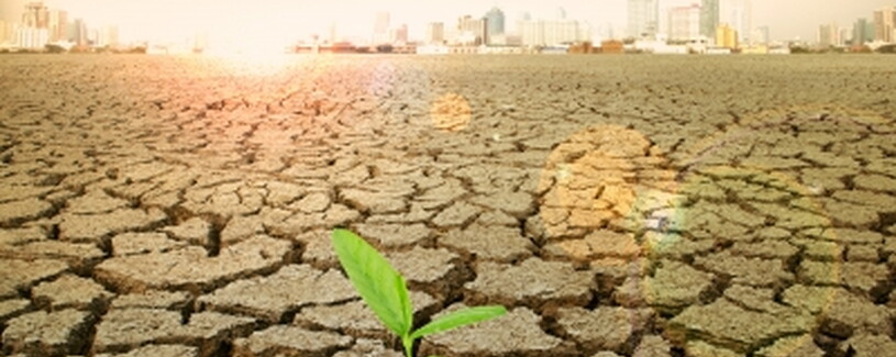 Santam: Crop Insurance and Climate Change