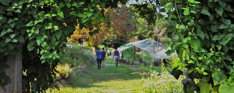 Yale Farm: Engaging New Haven Children