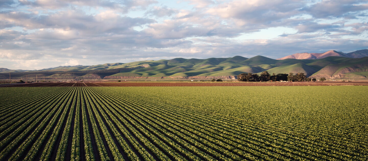 california farmland
