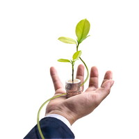 Financial Resources for Social and Environmental Entrepreneurs