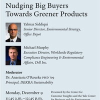 Nudging Big Buyers Towards Greener Products