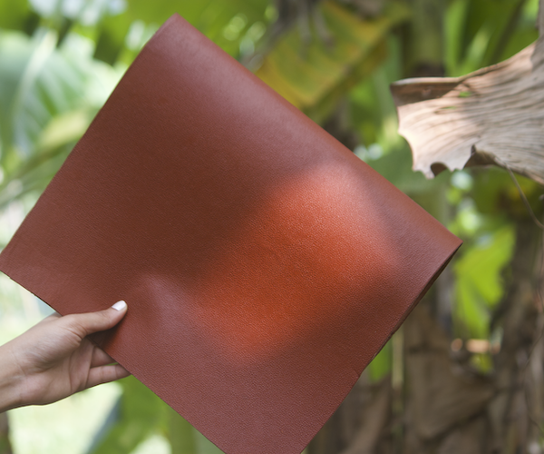 Banolfi leather product