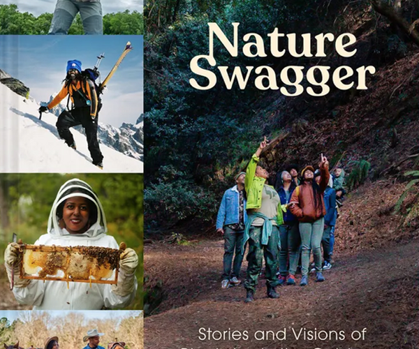 Nature Swagger book cover