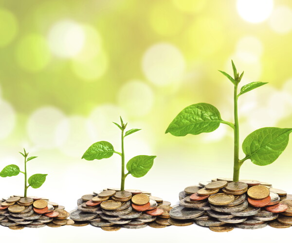A Good Socially Responsible Investment (SRI) Fund is Hard to Find