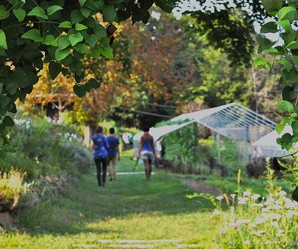 Yale Farm: Engaging New Haven Children